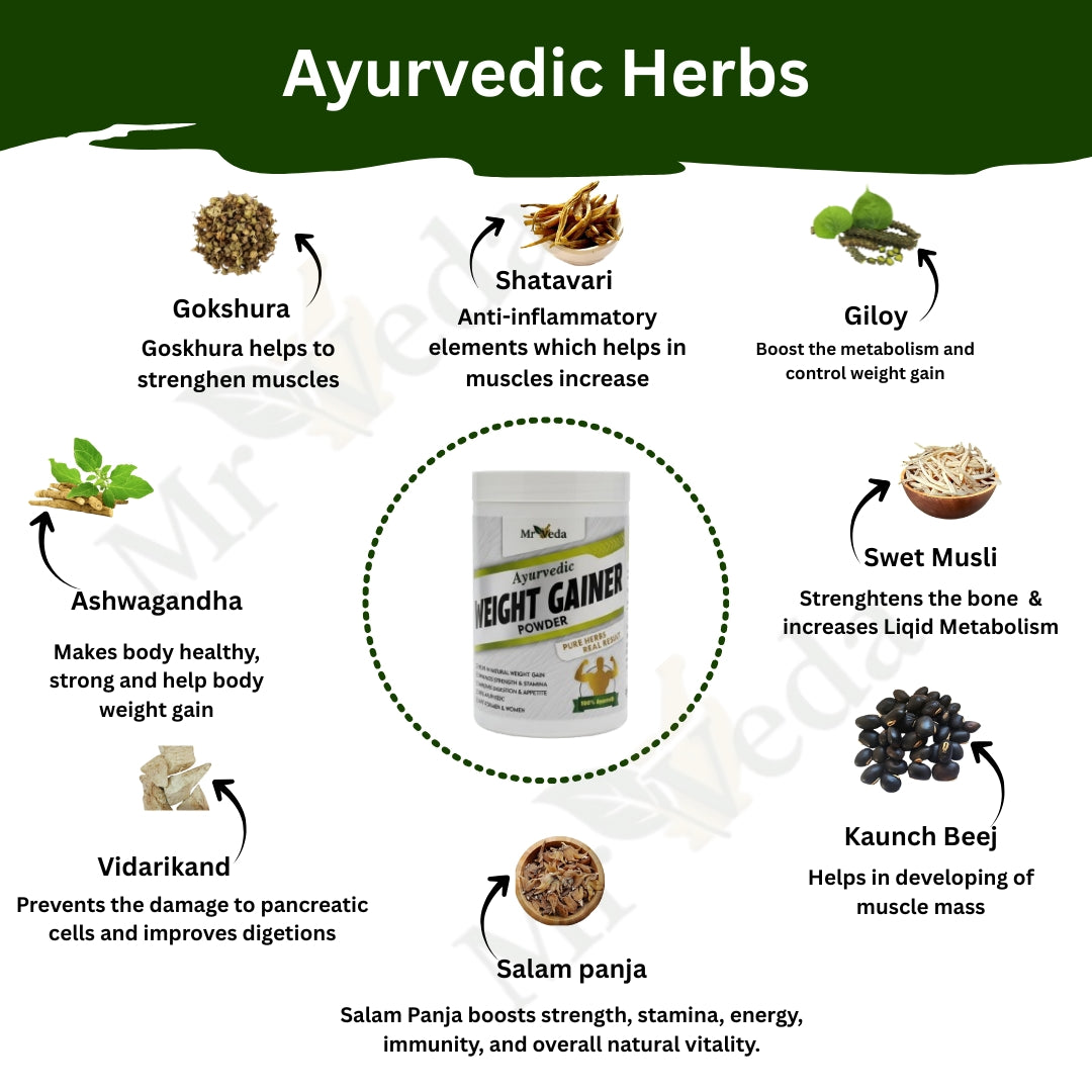 Mr. Veda Ayurvedic Weight Gainer Powder – 500g | Natural Weight Gain | 100% Ayurvedic | Boosts Appetite & Stamina